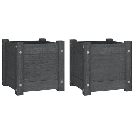 VIDAXL -Pflanzer 2 PCs 31x31x31 cm Festkiefergrau grau