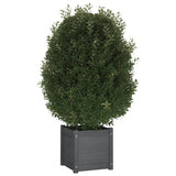 VIDAXL -Pflanzer 2 ST 40x40x40 cm Festkiefergrau