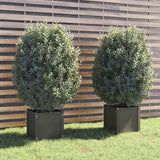 VIDAXL -Pflanzer 2 ST 40x40x40 cm Festkiefergrau