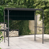 Vidaxl -Laube mit Dach 220x110x200 cm Anthrazit -ausgelöst