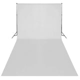 Vidaxl Photo Studio Set mit Beleuchtungsset und Hintergrund