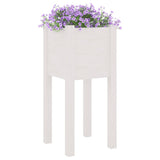 VIDAXL -Pflanzer 2 PCs 31x31x70 cm Festkiefer weiß