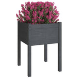 VIDAXL -Pflanzer 2 ST 50x50x70 cm Festkiefergrau