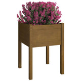 Vidaxl Plantbaken 2 PCs 50 x 50 x 70 cm Festkiefer Honigbraun