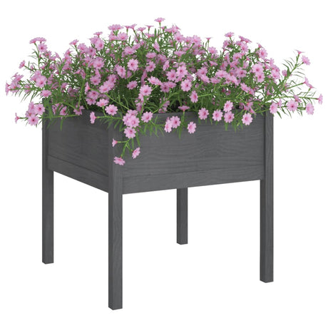 VIDAXL -Pflanzer 2 ST 70x70x70 cm Festkiefergrau