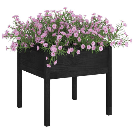 VIDAXL -Pflanzer 2 ST 70x70x70 cm Festkiefer schwarz