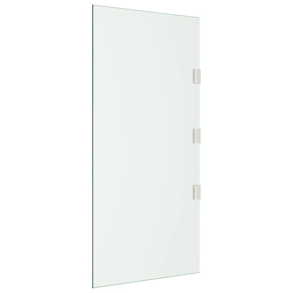 VIDAXL -Seitenplatte für Tür -Baldachin 50x100 cm gehärtetes Glas transparent