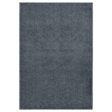 Vidaxl Teppich Kortpolig 200x290 cm Anthrazit -gelöscht