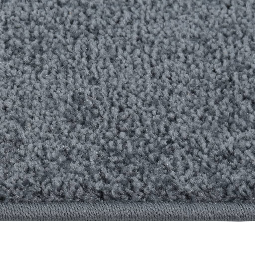 Vidaxl Teppich Kortpolig 200x290 cm Anthrazit -gelöscht