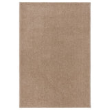 Vidaxl Teppich Kortpolig 200x290 cm Brown