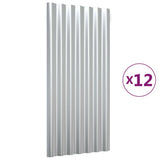 VIDAXL -Dachkollegen 12 ST 80x36 cm Pulver -Stahl Silber gefärbt