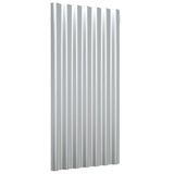VIDAXL -Dachkollegen 12 ST 80x36 cm Pulver -Stahl Silber gefärbt