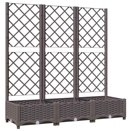 Vidaxxl Pflanzgefäß mit Spalier braun 120x40x121,5 cm PP