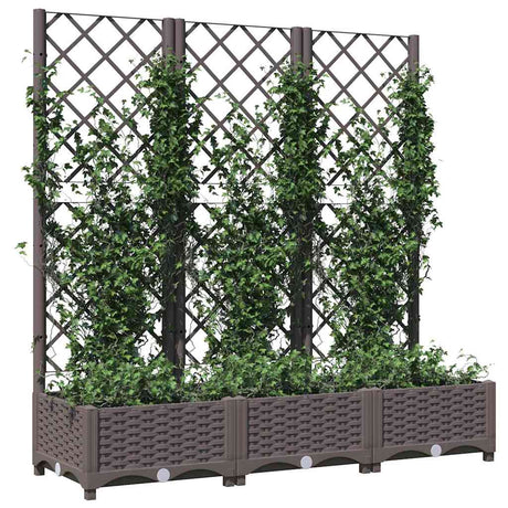 Vidaxxl Pflanzgefäß mit Spalier braun 120x40x121,5 cm PP