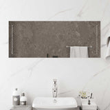 Vidaxl badkamerspiegel led 100x40 cm