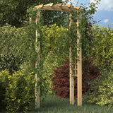 Vidaxl Gartenbogen 110x60x210 cm imprägnierte feste Kiefer