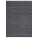 Vidaxl Teppich waschbarer Kurzpol Anti-Rutsch 160x230 cm Anthrazit
