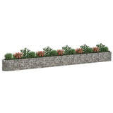 Vidaxl Gabion -Pflanzer erhöhte 610 x 50 x 50 cm verzinktes Eisen
