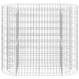 Vidaxl Gabion -Pflanzer erhöhte 120 x 50 x 100 cm verzinkte Eisen