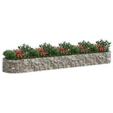 Vidaxl Gabion -Pflanzer erhöhte 500x100x50 cm verzinktes Eisen