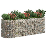 Vidaxl Gabion -Pflanzer vermehrte 300x100x100 cm verzinktes Eisen