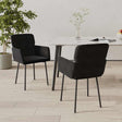 Vidaxl eetkamerstoelen 2 st fluweel zwart