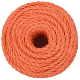 Vidaxx Arbeitsseil 20 mm 100 m Polypropylen Orange