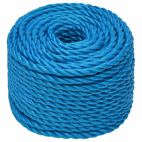 Vidaxx Arbeitsseil 10 mm 25 m Polypropylen blau