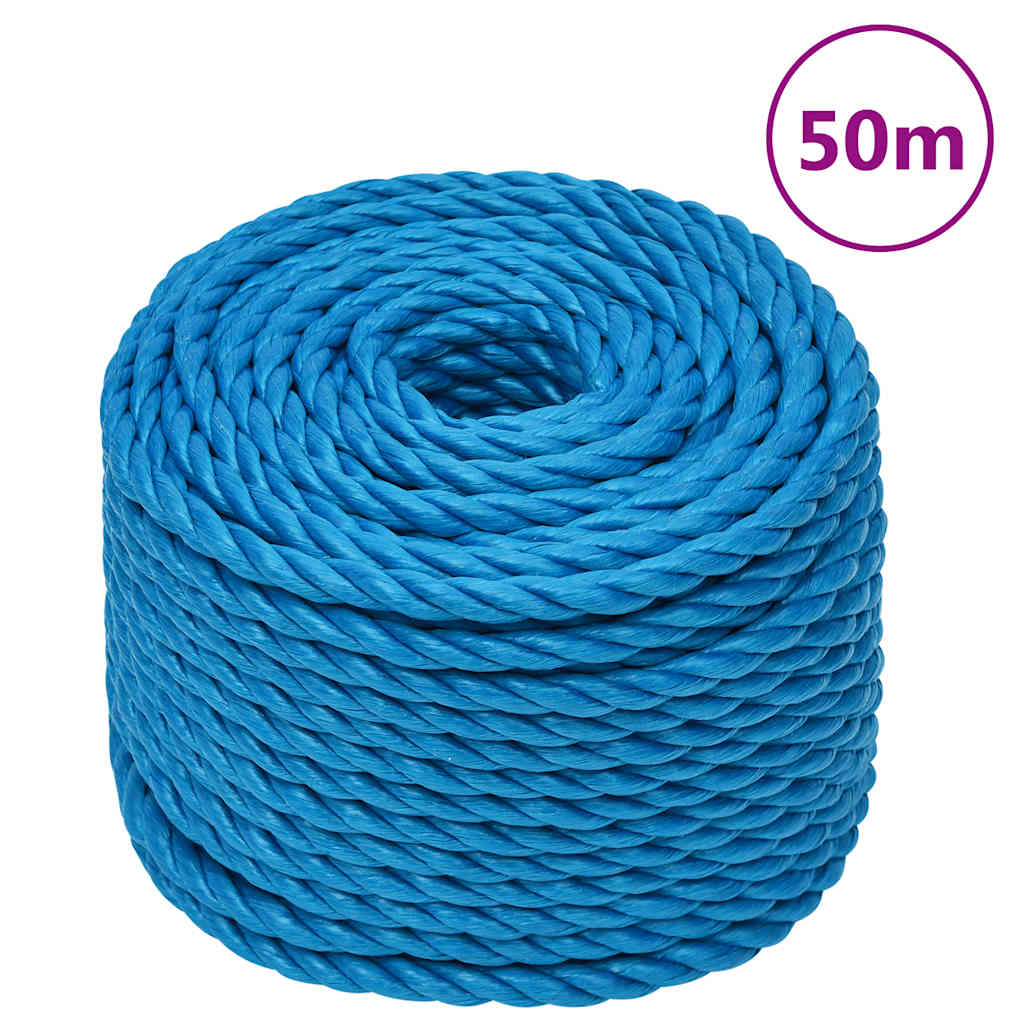 Vidaxx Arbeitsseil 10 mm 50 m Polypropylen blau
