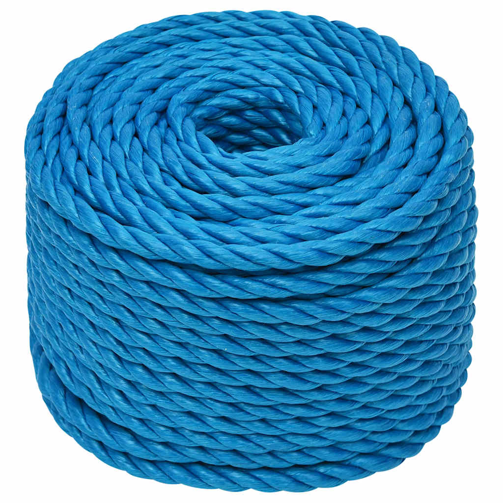 Vidaxx Arbeitsseil 10 mm 50 m Polypropylen blau