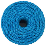 Vidaxx Arbeitsseil 10 mm 50 m Polypropylen blau
