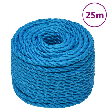 Vidaxx Arbeitsseil 12 mm 25 m Polypropylen blau