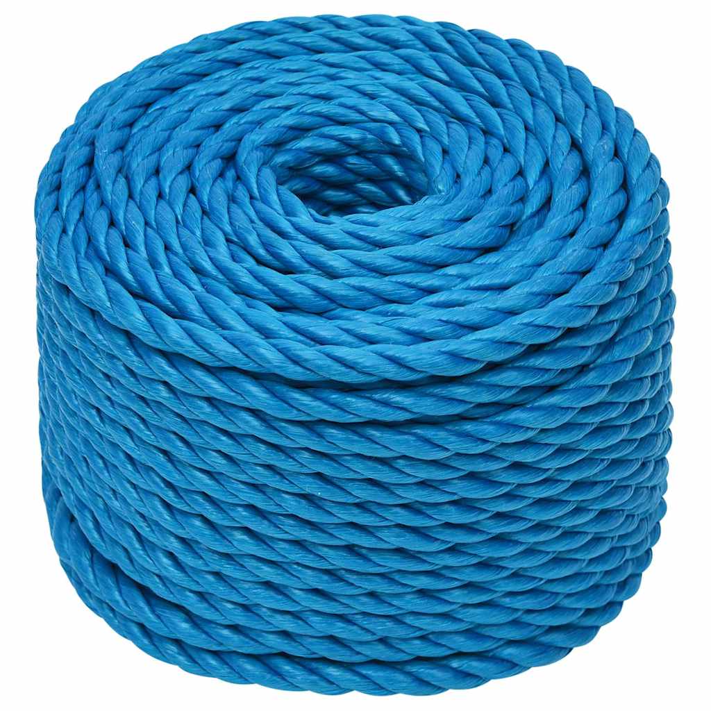 Vidaxx Arbeitsseil 12 mm 50 m Polypropylen blau