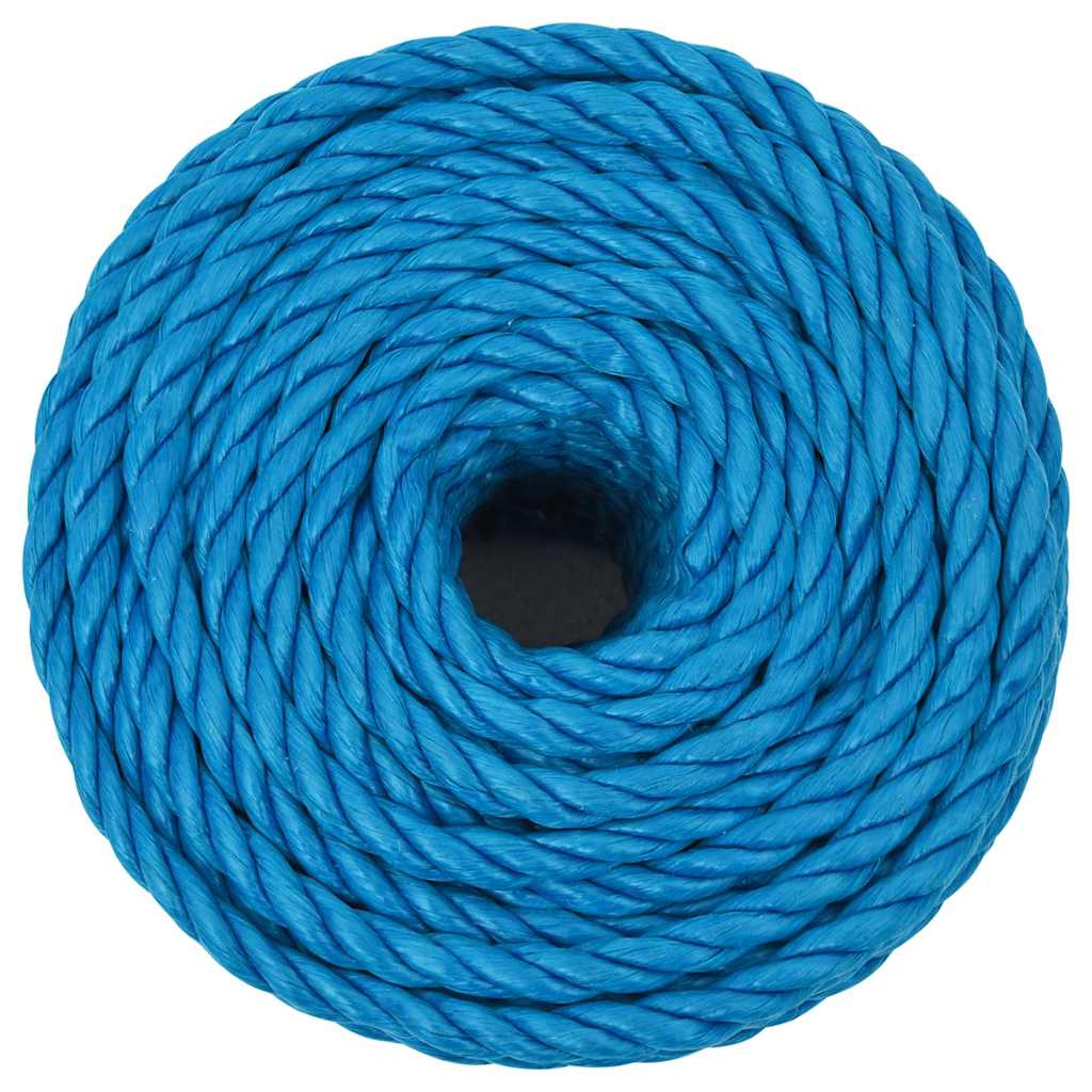 Vidaxx Arbeitsseil 16 mm 50 m Polypropylen blau