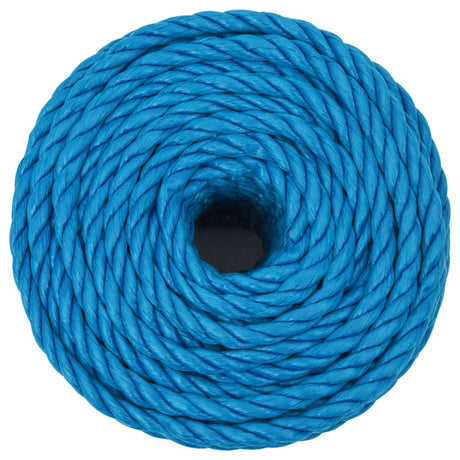 Vidaxx Arbeitsseil 20 mm 100 m Polypropylen blau