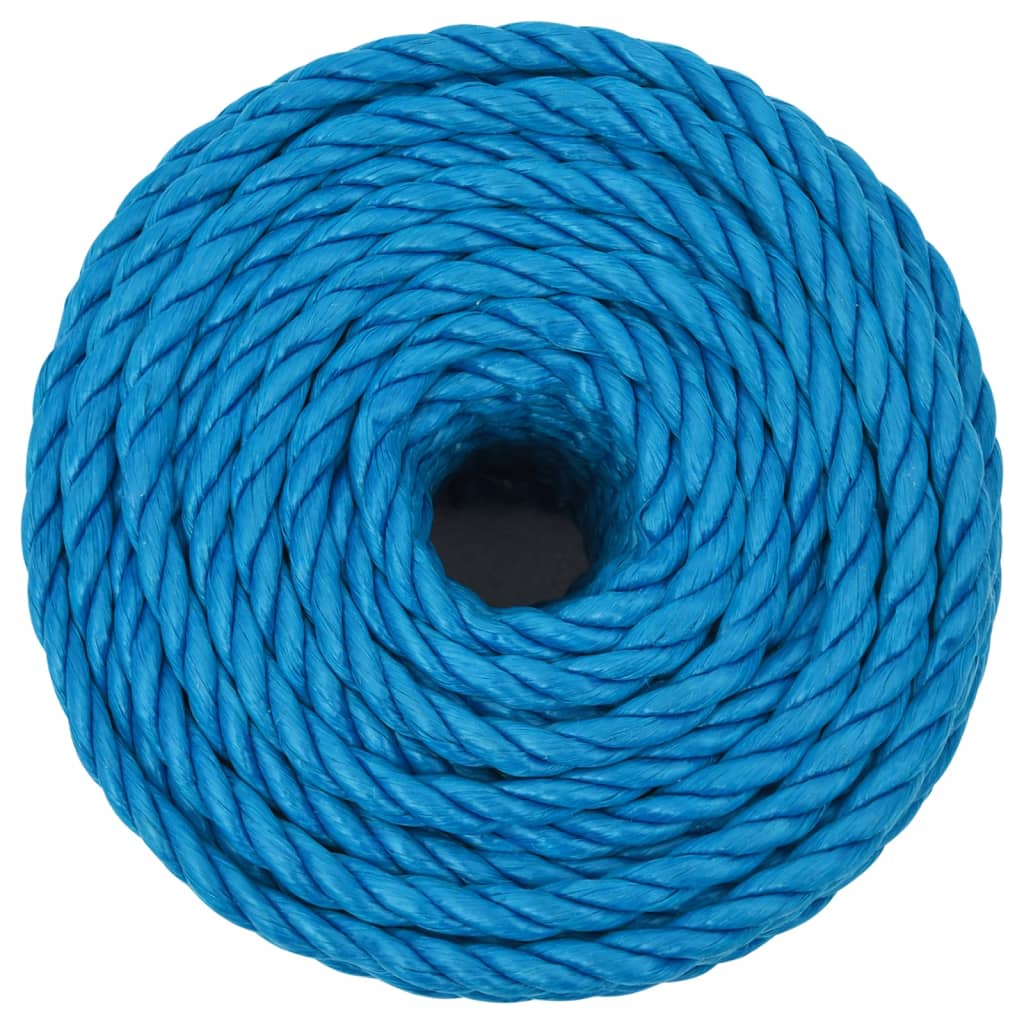 Vidaxx Arbeitsseil 24 mm 100 m Polypropylen blau
