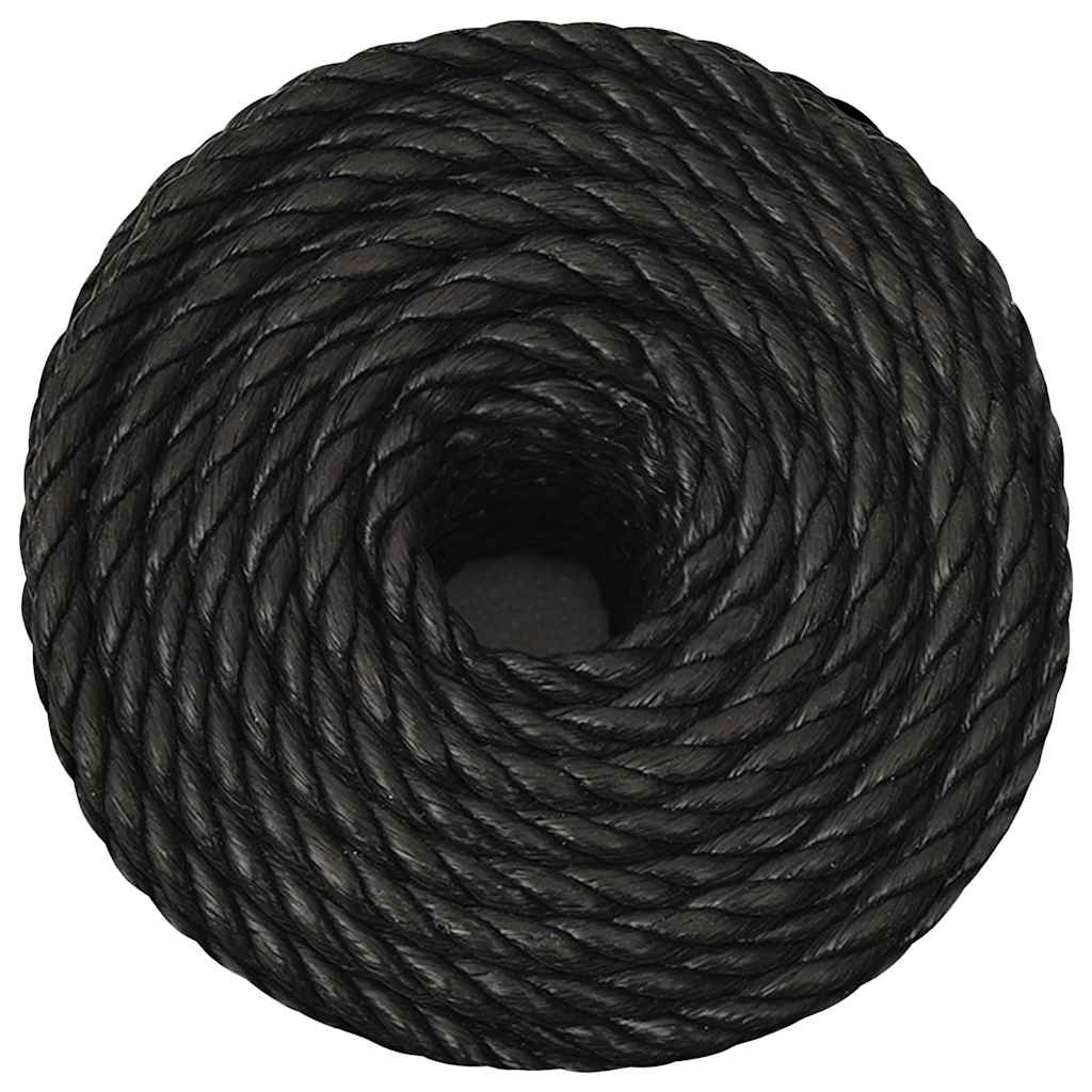 Vidaxx Arbeitsseil 10 mm 25 m Polypropylen schwarz