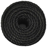 Vidaxx Arbeitsseil 10 mm 25 m Polypropylen schwarz