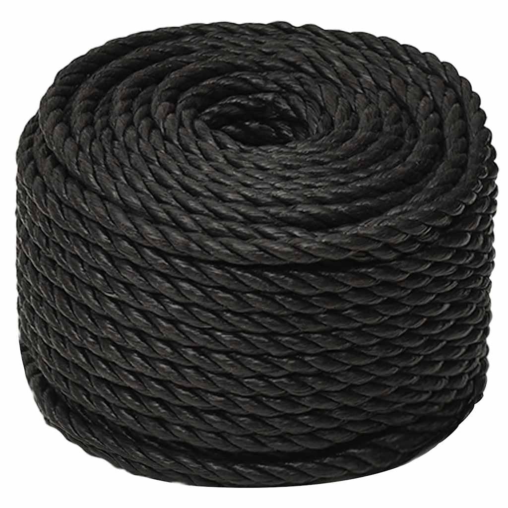 Vidaxx Arbeitsseil 10 mm 50 m Polypropylen schwarz
