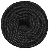 Vidaxx Arbeitsseil 10 mm 50 m Polypropylen schwarz