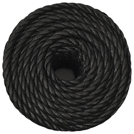 Vidaxx Arbeitsseil 10 mm 250 m Polypropylen schwarz