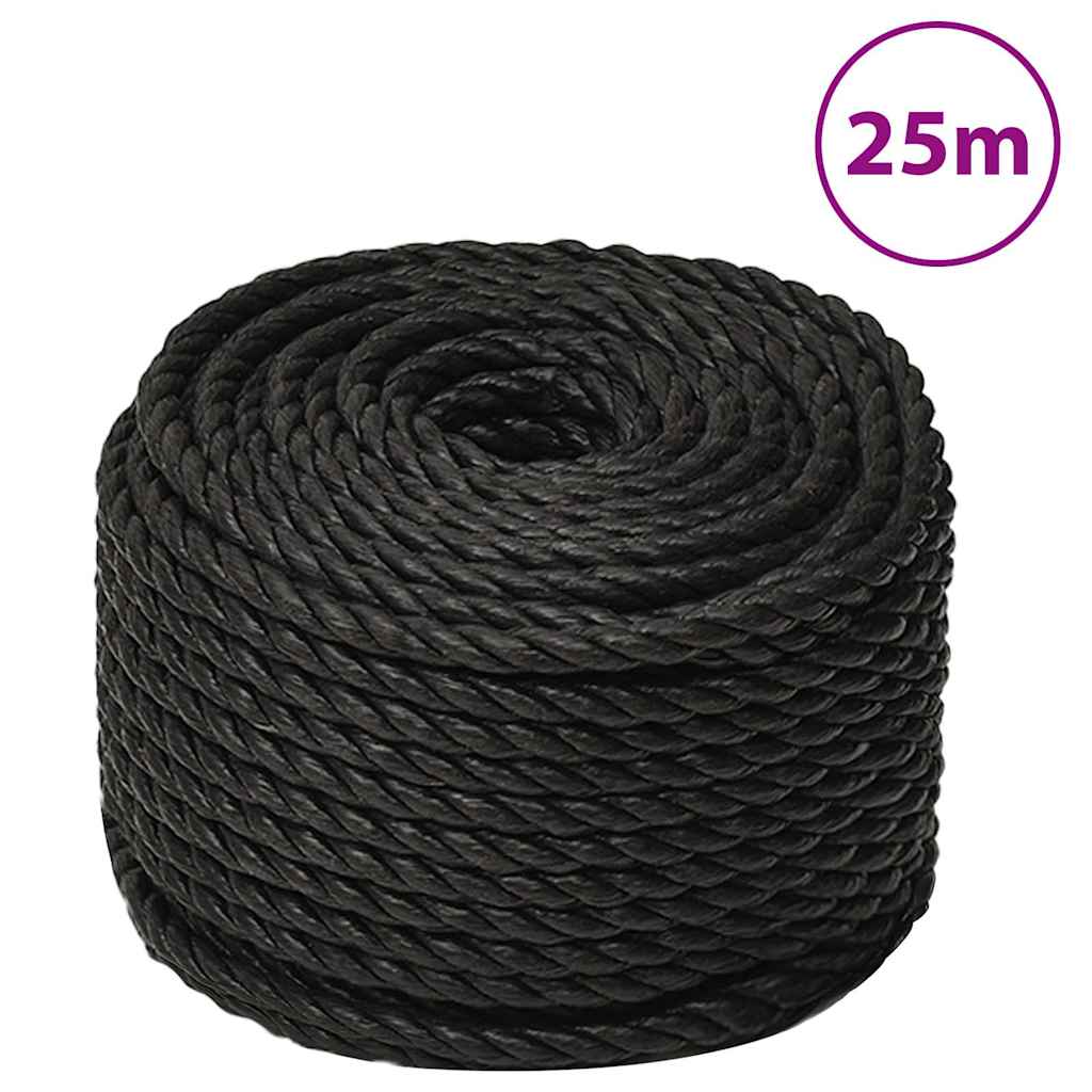 Vidaxx Arbeitsseil 12 mm 25 m Polypropylen schwarz
