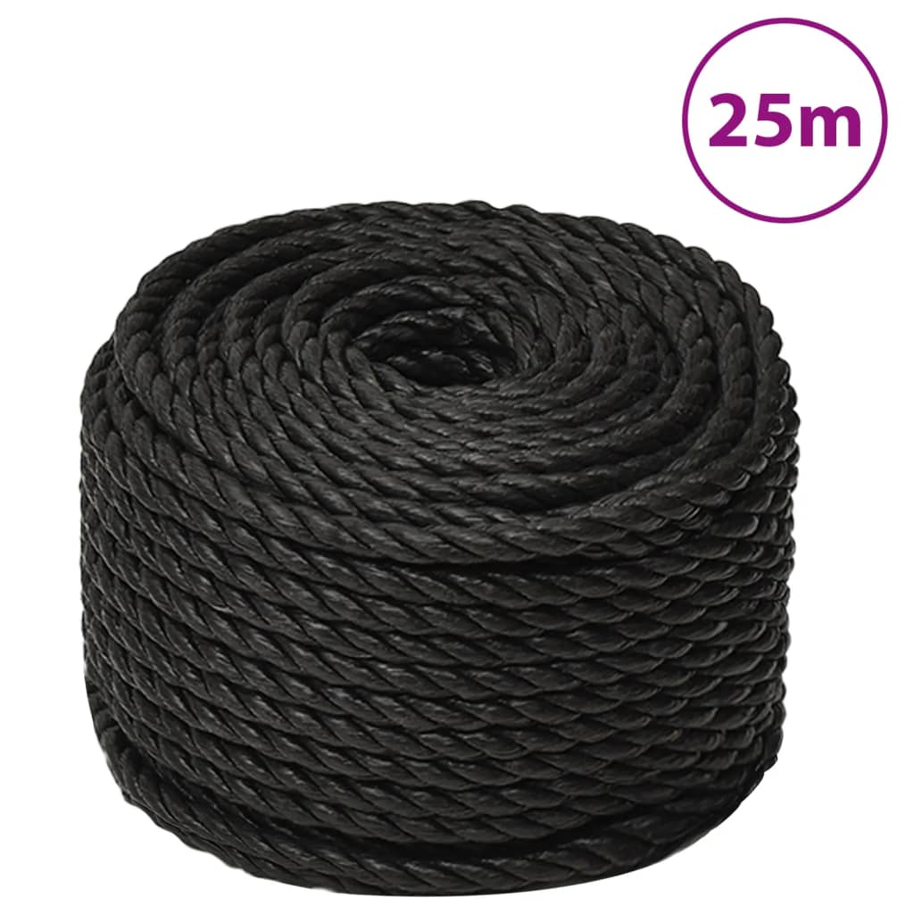 Vidaxx Arbeitsseil 12 mm 25 m Polypropylen schwarz