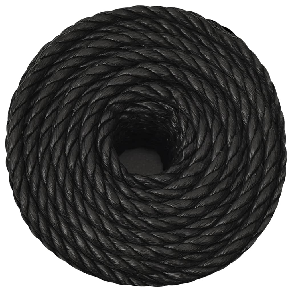 Vidaxx Arbeitsseil 12 mm 250 m Polypropylen schwarz