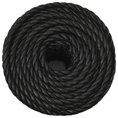 Vidaxx Arbeitsseil 14 mm 50 m Polypropylen schwarz