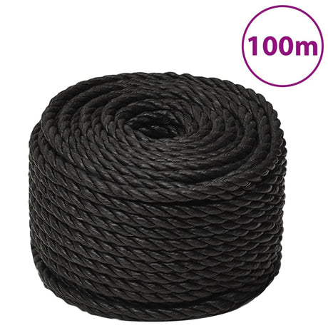 Vidaxx Arbeitsseil 24 mm 100 m Polypropylen schwarz