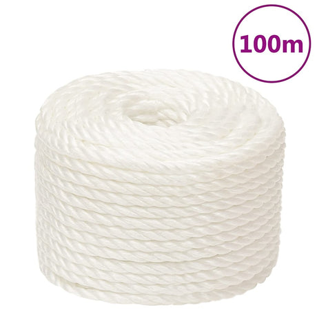 Vidaxx Arbeitsseil 12 mm 100 m Polypropylen weiß