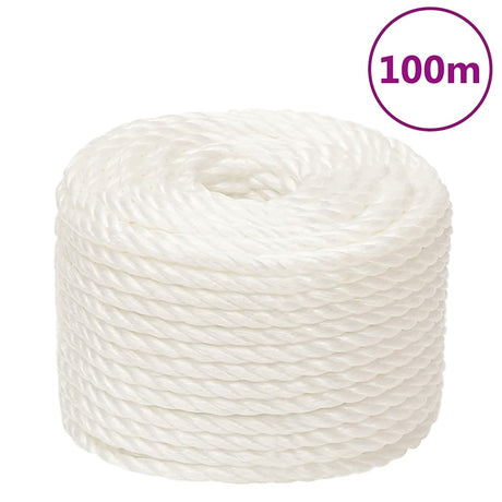 Vidaxx Arbeitsseil 16 mm 100 m Polypropylen weiß