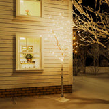 VidaXL Birke LED 240 LEDs warmweiß 300 cm weiß