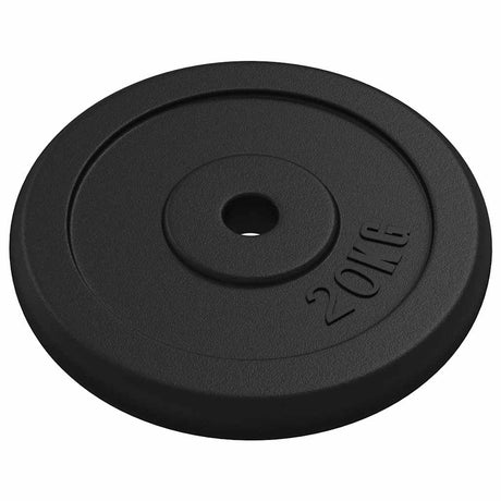 VIDAXL -Halfterscheibe 20 kg Gusseisen